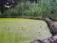 -成都市活水公园