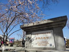-桃花堤公园