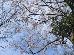 -北仑森林植物园