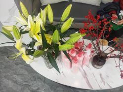 -七分屋LA·烫发·染发·剪发