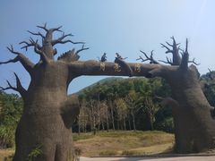 -梅岭月亮湾山体公园