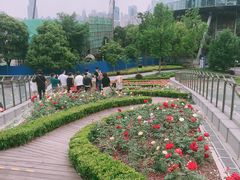 -北外滩滨江绿地