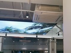 -探窝·竹笙椰子鸡(杨箕店)