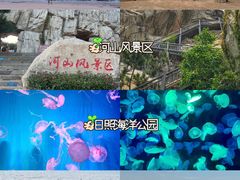 -日照海滨国家森林公园