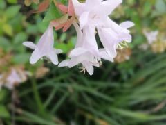 -前小桔亲子创意农场·草莓采摘·露营烧烤