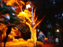 -东风公园