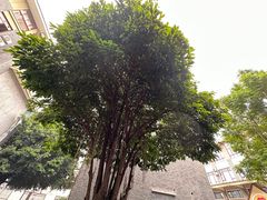 -窑埠古镇