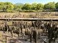 -河姆渡遗址博物馆