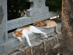 -四门塔风景区
