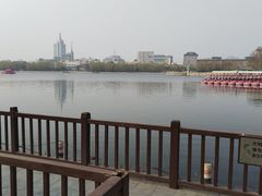 -莲花池公园