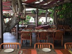 -卷心菜和避孕套餐厅(Pattaya)