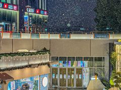 -紫荆广场·花漫里