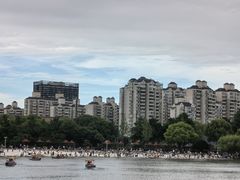 -大宁公园