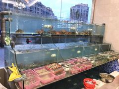 水产区-合家小菜餐馆(新诚花苑店)