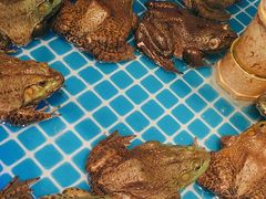 -藜爱·山海情海鲜自助(万达广场店)