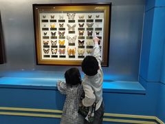 -上海昆虫博物馆