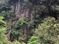 -广州市石门国家森林公园