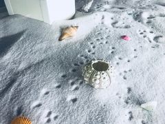 -青岛贝壳博物馆