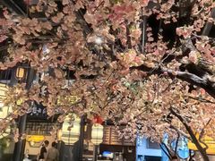 -绿茶餐厅(千岛湖银泰城店)