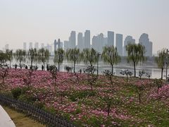 -汉江湾体育公园