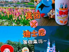 -上海迪士尼度假区