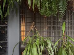 -肴约·花园式餐厅(湖里店)