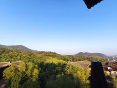 -大唐贡茶院