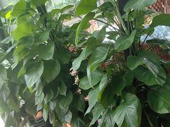-慢丽江·云南野生菌土鸡锅(西山店)