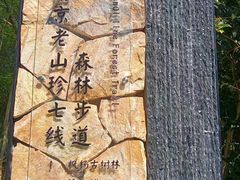 -南京老山国家森林公园