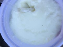 -沙湾姜埋奶(兴新包店)