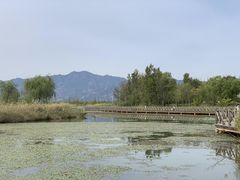 -野鸭湖国家湿地公园