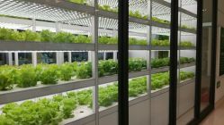 -安利上海体验馆