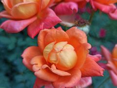 -共青国家森林公园-售票处