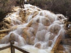 -黄龙山原始森林景区