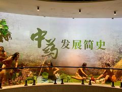 -广东中医药博物馆