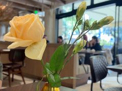 -ELI FALAFEL Lebanese&Mediterranean黎巴嫩美食(富城路店)