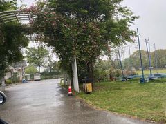 -鹅湖玫瑰文化园