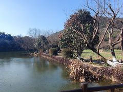 -八卦田遗址公园