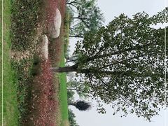 -汉长安城未央宫国家考古遗址公园