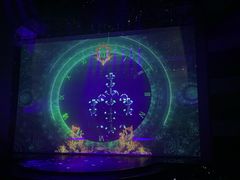 -水秀国际大剧院