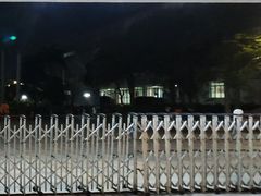 -猫咪博物馆(顶澳仔猫街店)