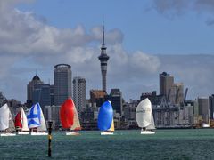 -怀托摩萤火虫洞