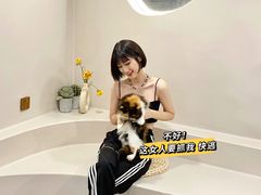 -More Fun猫咖 二十只万元加菲主题