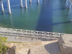 -星海湾跨海大桥