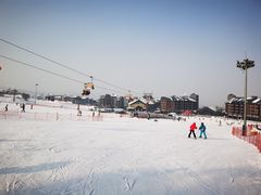 -中旅松花湖滑雪场