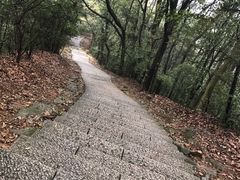 -西湖风景区十里琅珰-五云山