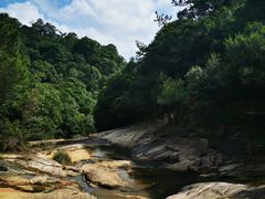 -广州白江湖森林公园