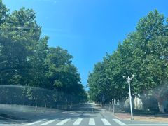 -山东大学(威海校区)