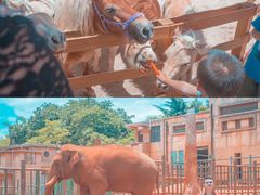 -昆明动物园