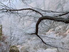 -崂山巨峰游览区